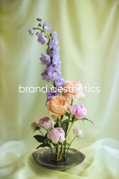 Brand Aesthetics workshop